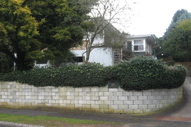 Photo of property in 45 Aurora Terrace, Hillcrest, Hamilton, 3216