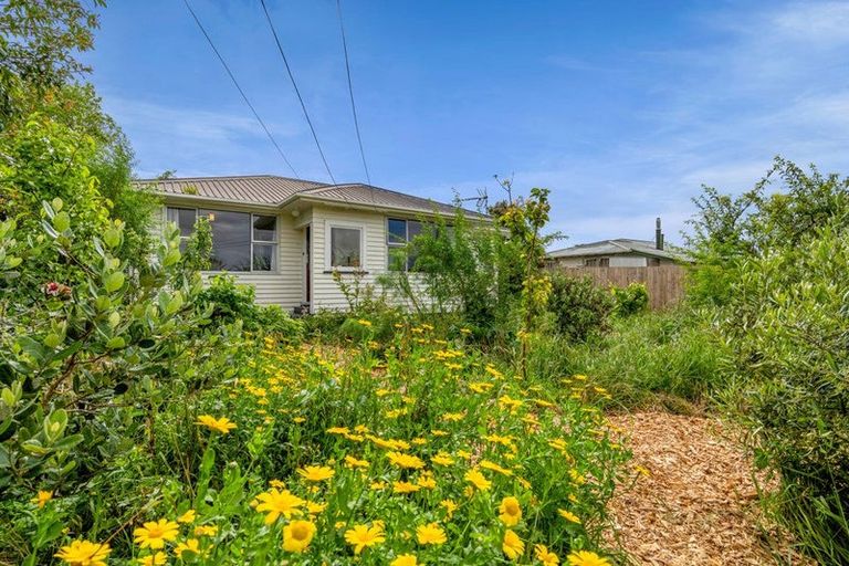 Photo of property in 151 Portia Street, Stratford, 4332