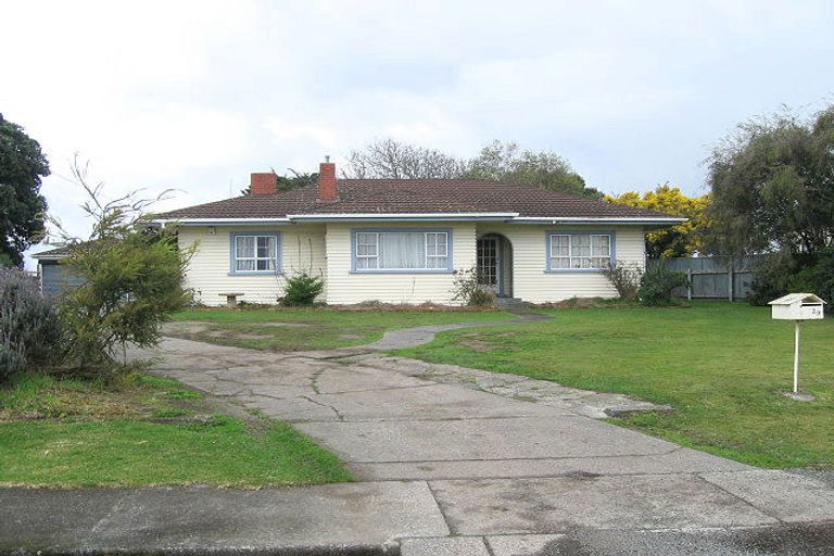 Photo of property in 29 Owen Street, Feilding, 4702