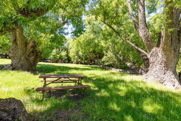 Photo of property in 443a Waikerikeri Vly Road, Waikerikeri, Alexandra, 9391