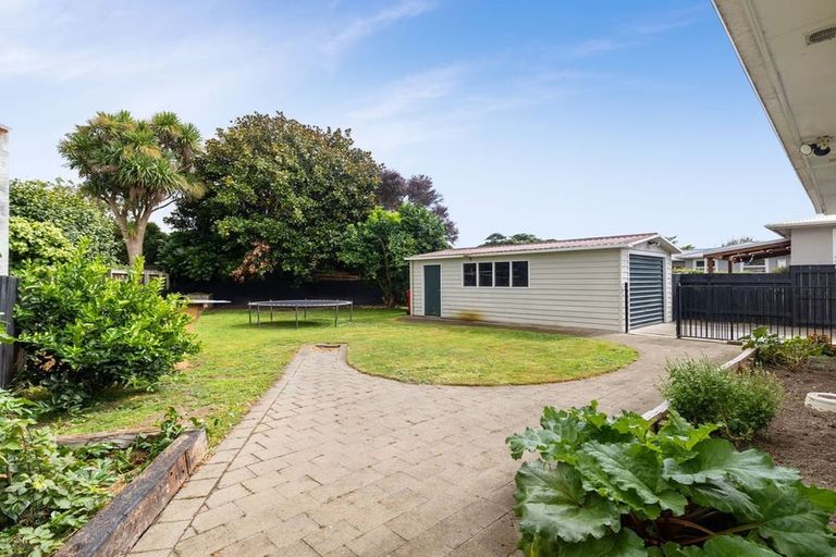 Photo of property in 17 Salisbury Avenue, Terrace End, Palmerston North, 4410