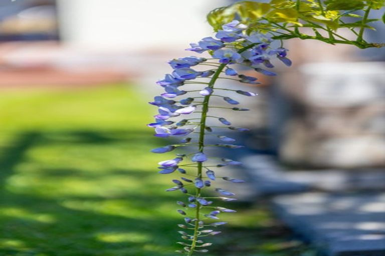 Photo of property in 1820 Egmont Road, Kaimiro, Inglewood, 4386