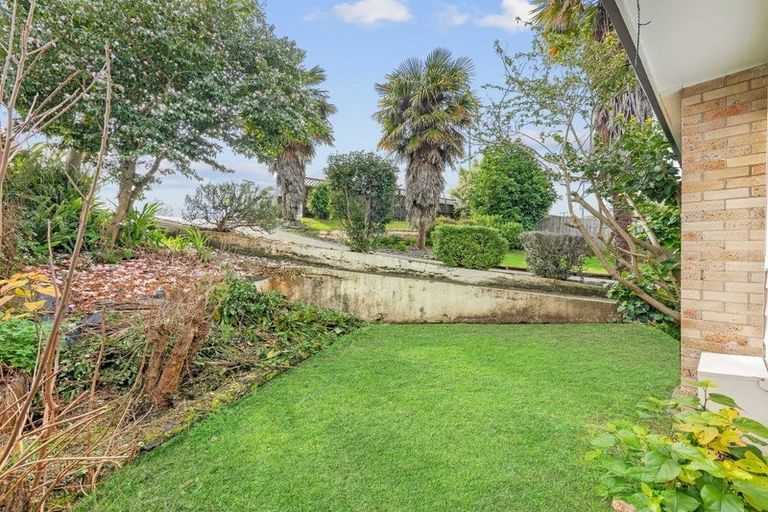 Photo of property in 52 Cambridge Road, Hillcrest, Hamilton, 3216