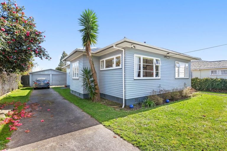 Photo of property in 21 Edinburgh Street, Levin, 5510
