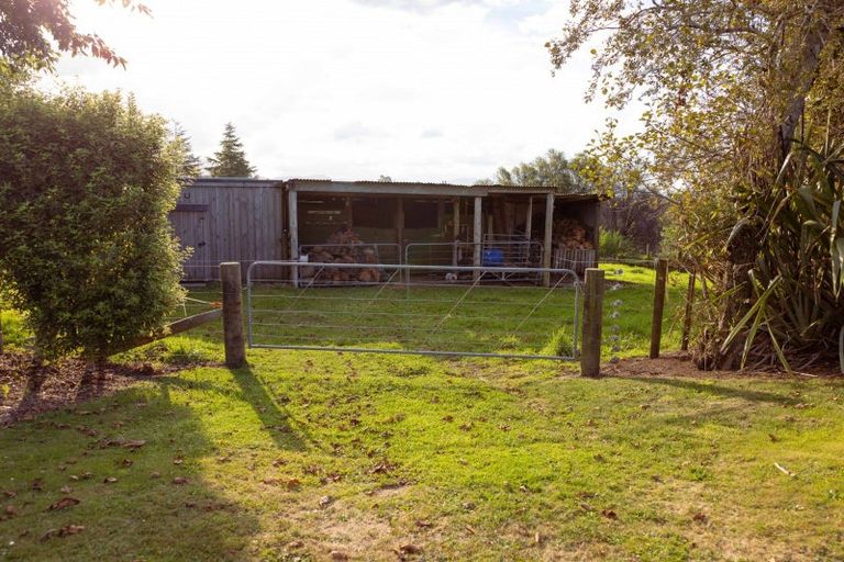 Photo of property in 67 Laurel Drive, Whakamarama, Tauranga, 3179