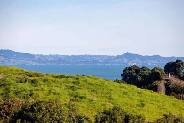 Photo of property in 8 Te Mata Drive, Te Mata, Thames, 3575