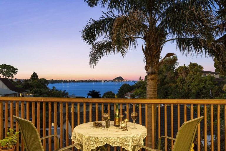 Photo of property in 202 Maungatapu Road, Maungatapu, Tauranga, 3112