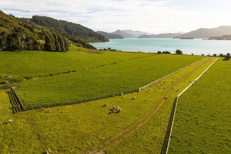 Photo of property in 5564 Kenepuru Road, Waitaria Bay, Picton, 7282