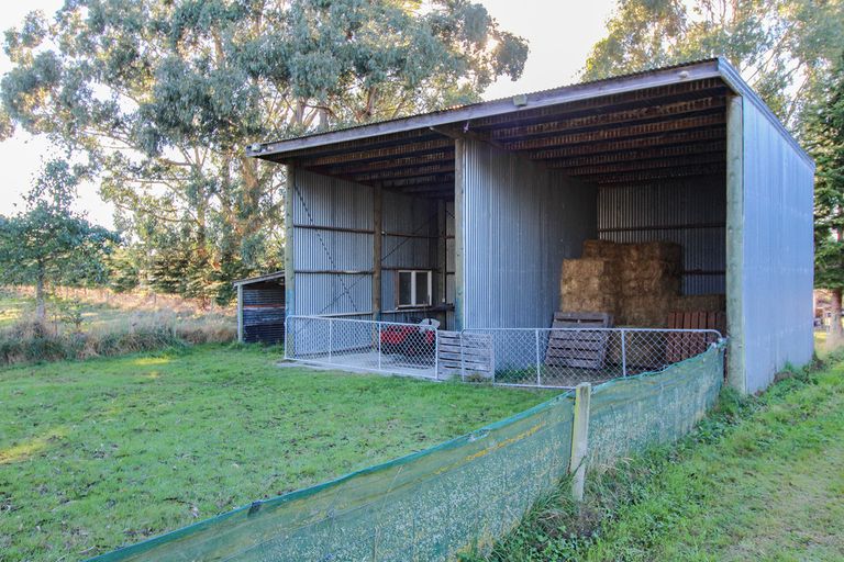 Photo of property in 278 Homestead Road, Weston, Oamaru, 9491