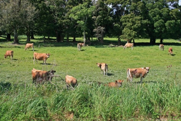 Photo of property in 641 Opouri Road, Rai Valley, 7194