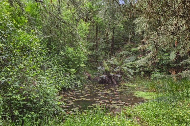 Photo of property in 70 Kaimango Road, Hauturu, Te Awamutu, 3878