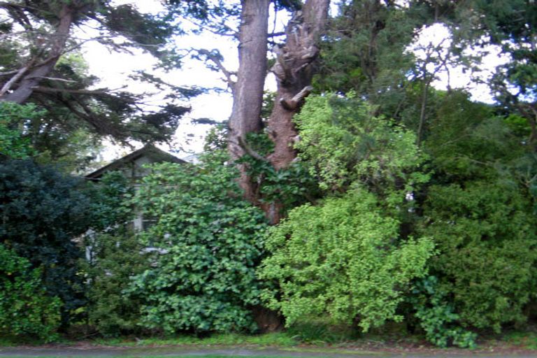 Photo of property in 25 Bell Street, Featherston, 5710