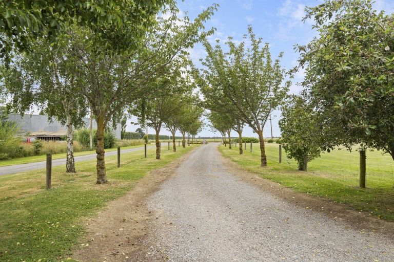 Photo of property in 50 Irvines Road, Dunsandel, Leeston, 7682