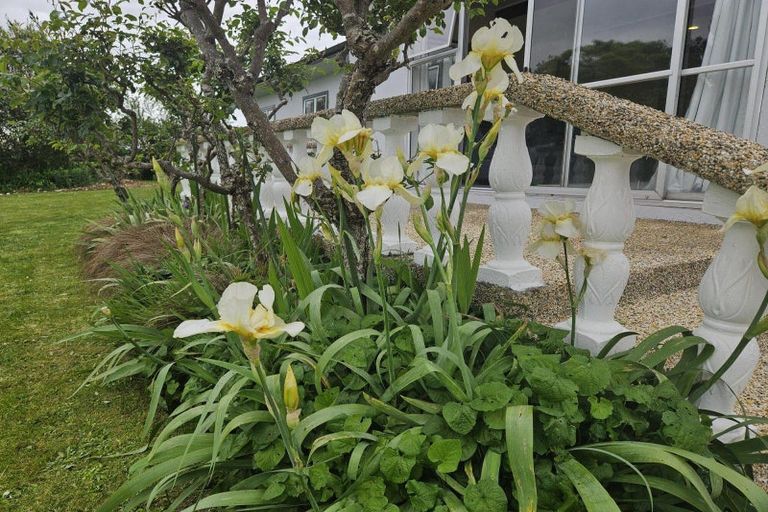 Photo of property in 558 Harwoods Road, Tapapa, Tirau, 3485