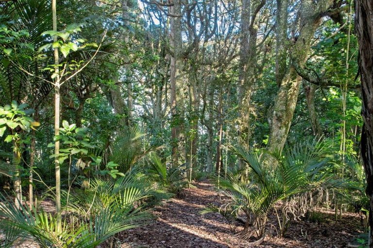 Photo of property in 25a Parker Lane, Buckland, Pukekohe, 2677