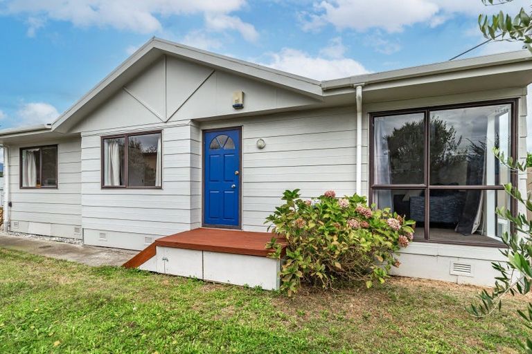 Photo of property in 36 Wilton Street, Levin, 5510