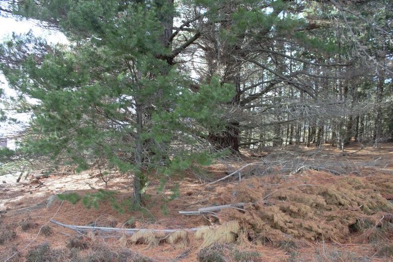 Photo of property in 56 Ohau Drive, Lake Ohau, Twizel, 9412