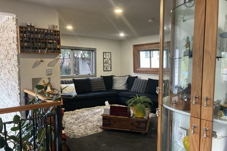 Photo of property in 14 Bush View Lane, Northcote Point, Auckland, 0627