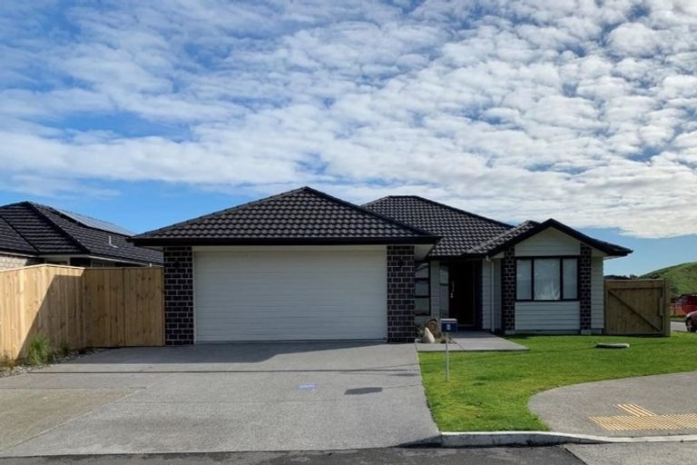Photo of property in 8 Tapuhikura Street, Waikanae, 5036