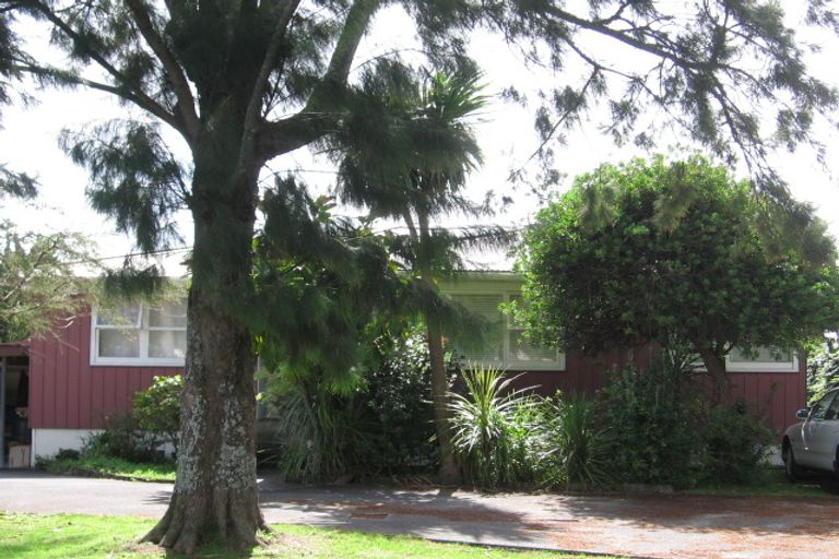 Photo of property in 45 Pinedale Place, Henderson, Auckland, 0610