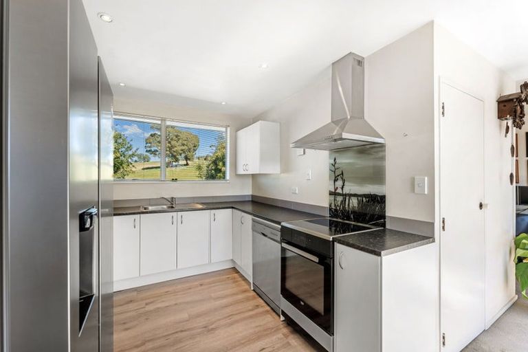 Photo of property in 31 Darby Street, Geraldine, 7930