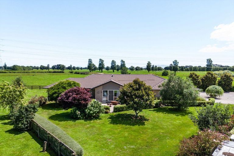 Photo of property in 11 Shadbolt Drive, Leamington, Cambridge, 3432