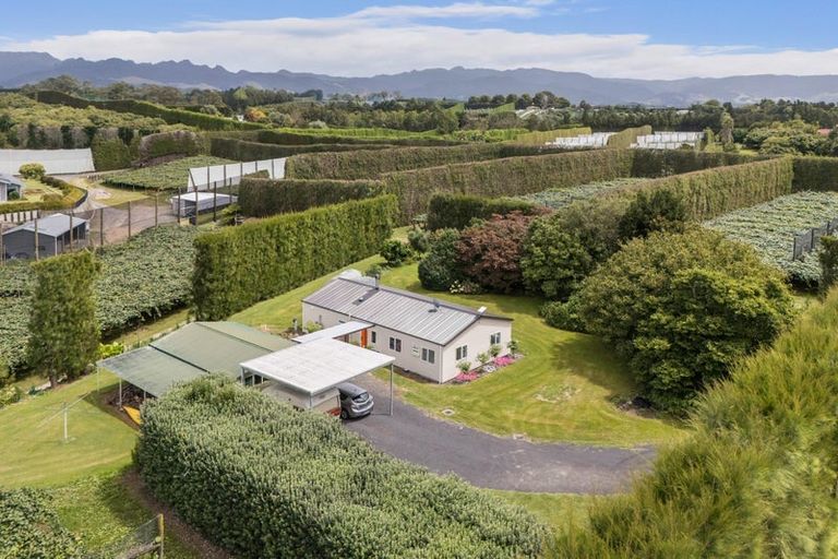 Photo of property in 81 Lockington Road, Aongatete, Katikati, 3181