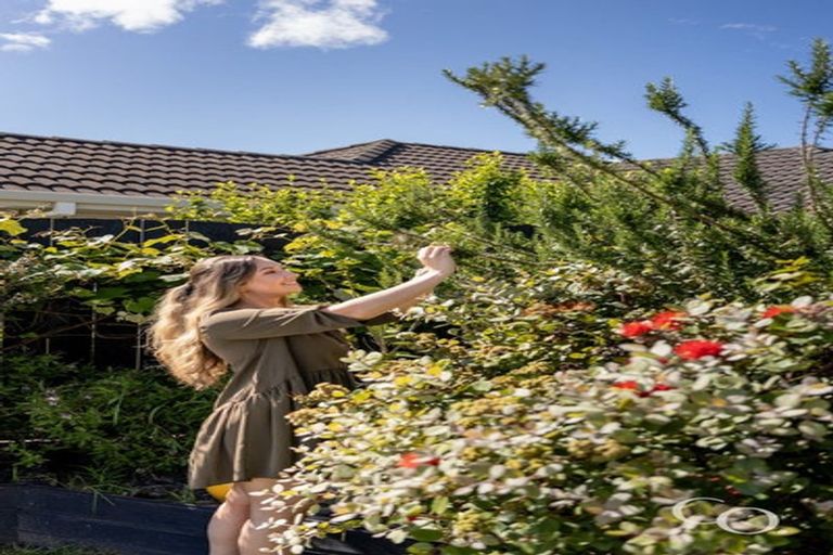 Photo of property in 24c Gobray Crescent, Mount Maunganui, 3116