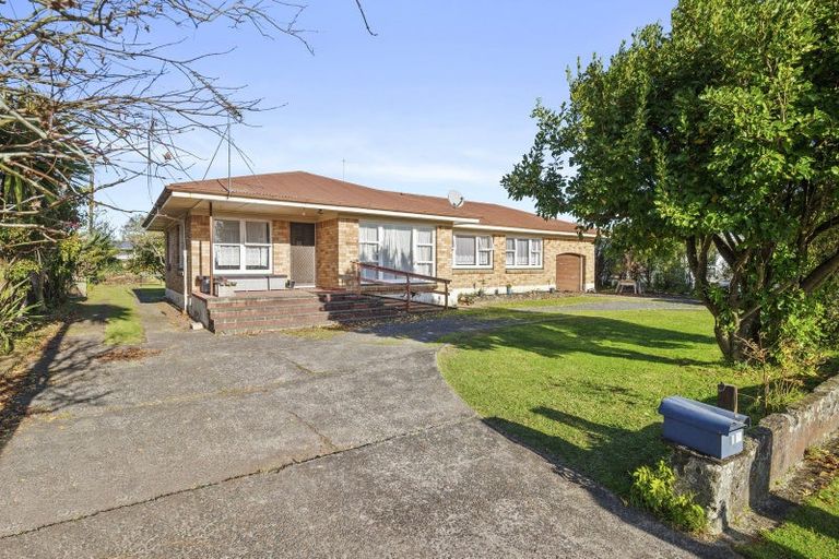 Photo of property in 29 Marchant Street, Putaruru, 3411