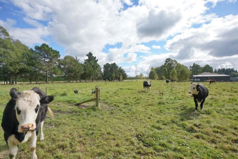 Photo of property in 533 Lower Sefton Road, Sefton, Rangiora, 7477