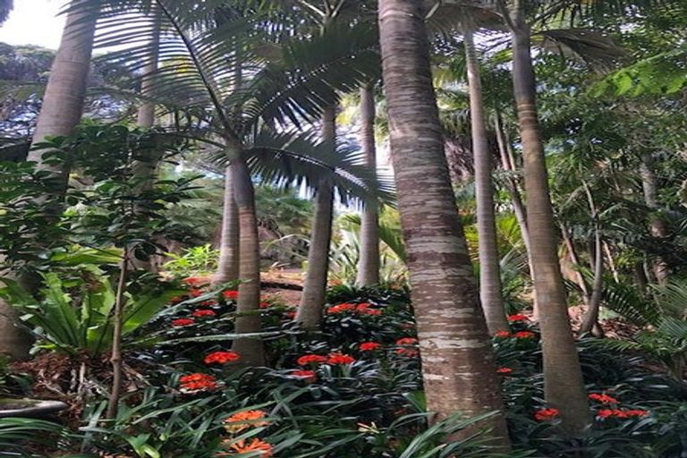 Photo of property in 107 Hadfield Street, Beach Haven, Auckland, 0626