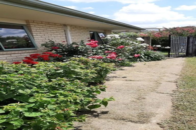Photo of property in 7 Loveridge Place, Morrinsville, 3300