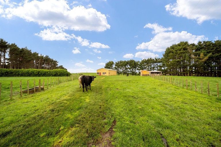 Photo of property in 69 Iredale Road, Hawera, 4610