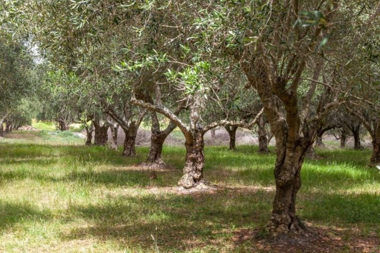 Photo of property in 7 Harding Road, Wellsford, 0972