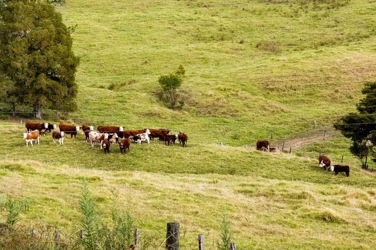 Photo of property in 356 Te Tio Road, Umawera, Okaihau, 0476