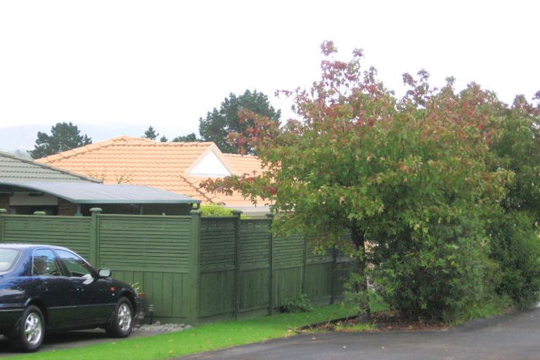 Photo of property in 14 Jelicich Court, Henderson, Auckland, 0612