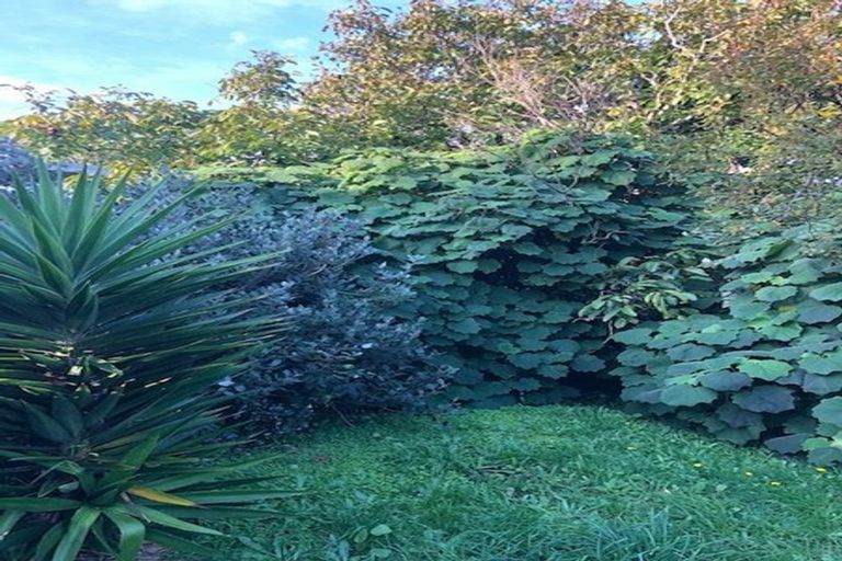 Photo of property in 7a Herbert Avenue, Raumati South, Paraparaumu, 5032