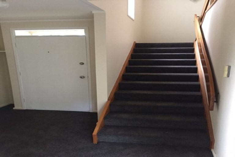 Photo of property in 306 Mansfield Street, Newtown, Wellington, 6021