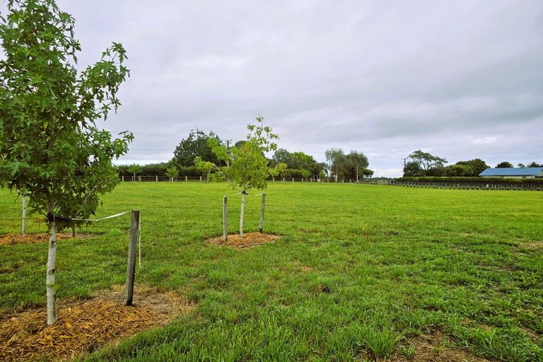 Photo of property in 5 Arete Lane, Levin, 5571