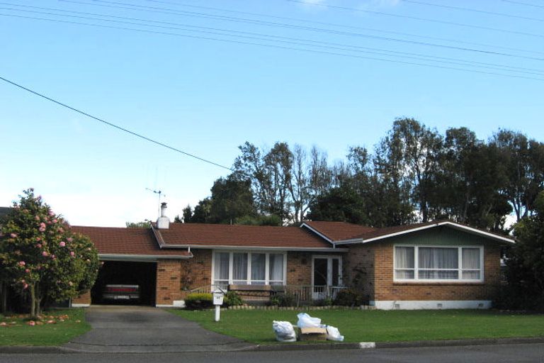 Photo of property in 46 Macarthur Street, Levin, 5510