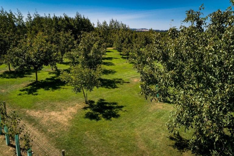 Photo of property in 556 Steffens Road, Starvation Hill, Oxford, 7495