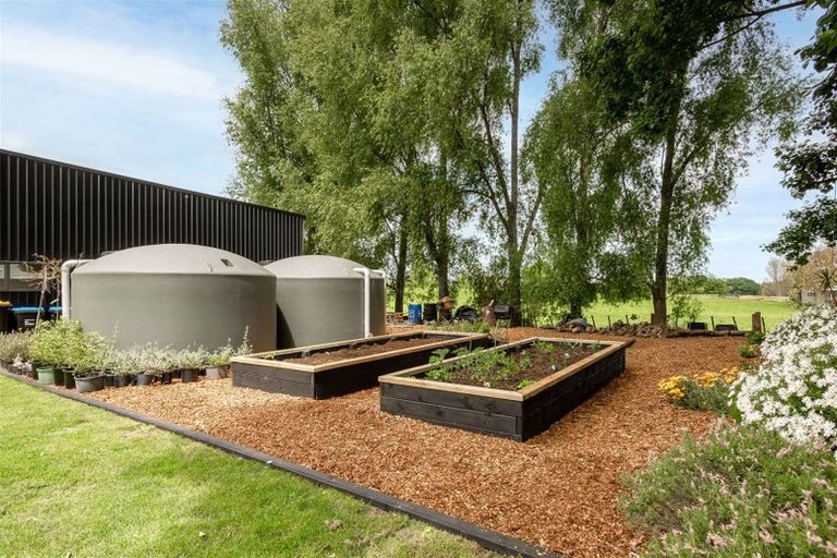 Photo of property in 121 Muir Road, Te Awamutu, 3879