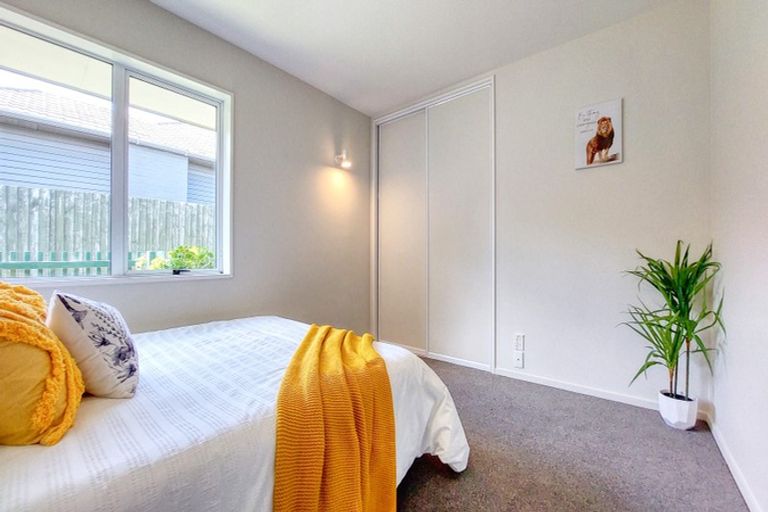 Photo of property in 50a Rose Street, Somerfield, Christchurch, 8024