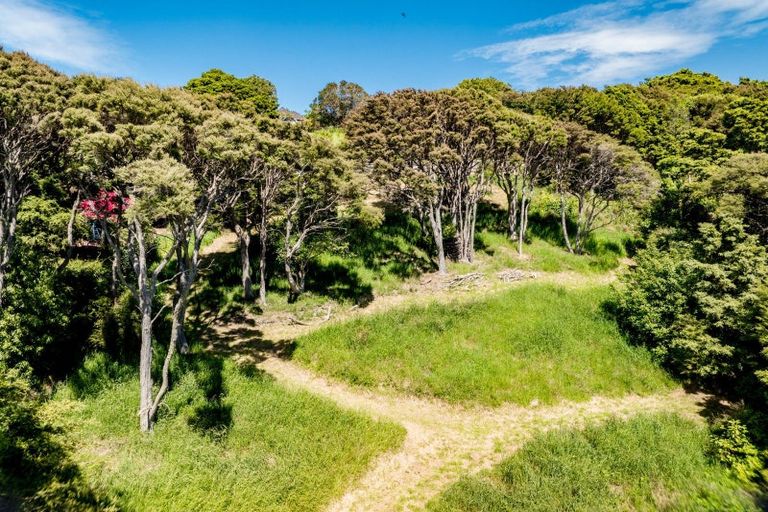 Photo of property in 24 Fred Hollows Way, Glenleith, Dunedin, 9010