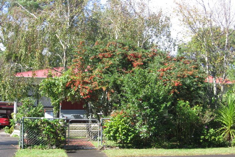 Photo of property in 20 Normandy Place, Henderson, Auckland, 0610