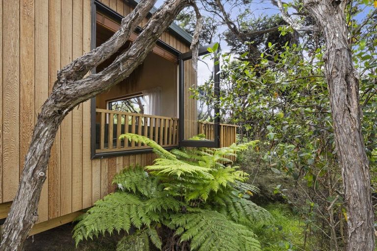 Photo of property in 1644b Whaanga Road, Raglan, 3296