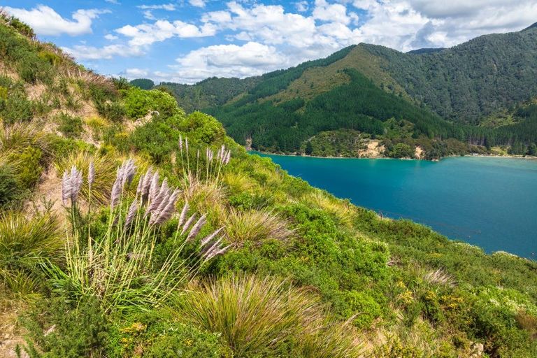 Photo of property in Elie Bay Road, Crail Bay, Marlborough Sounds, 7282