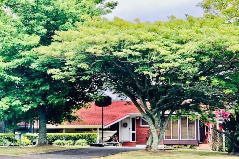 Photo of property in 117 Stredwick Drive, Torbay, Auckland, 0630