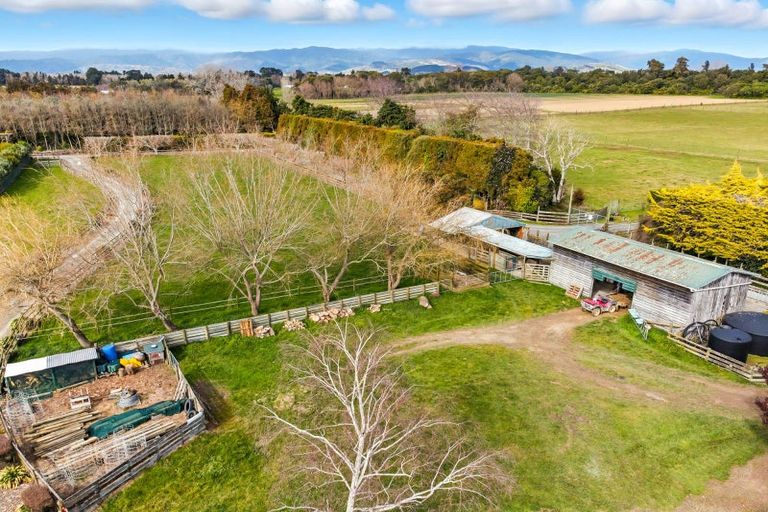 Photo of property in 70 Joblins Road, Levin, 5571