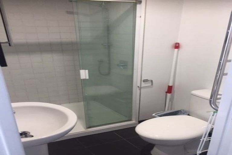 Photo of property in 58a Liverpool Street, Epsom, Auckland, 1023